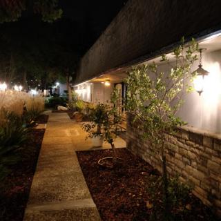 A serene nighttime view of a well-lit pathway bordered by lush greenery.