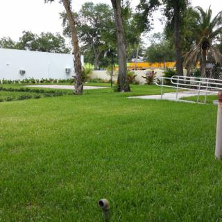 A well-maintained lawn with lush green grass, surrounded by trees and garden paths.
