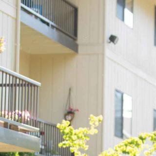 An exterior view of an apartment building with balconies and windows.