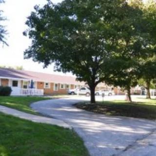 A peaceful neighborhood scene with a tree-lined sidewalk and buildings in the background.