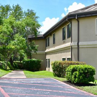 A sunny pathway surrounded by greenery leading to a two-story building.