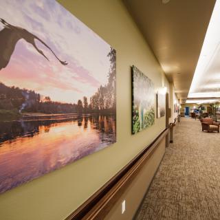 A well-lit hallway adorned with scenic nature photography on the walls.