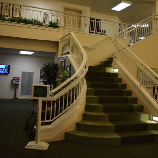 A carpeted spiral staircase inside a building with white railings and plant decorations.