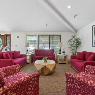 A cozy living room featuring red upholstered sofas and armchairs, complemented by a geometric coffee table and indoor plants.