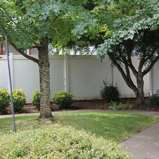 A peaceful outdoor scene with trees, bushes, and a white fence.