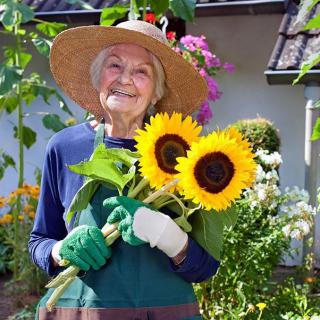 An elderly woman wearing a sun hat and gloves, smiling while holding a bouquet of sunflowers in her garden.