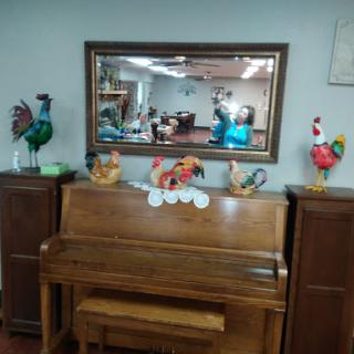 Willow Care Nursing Home