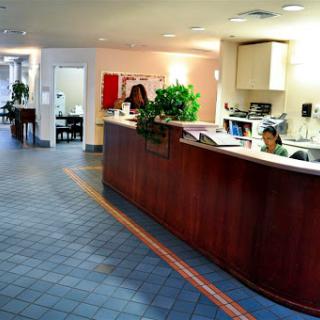 A view of a modern office reception area with a wooden front desk and potted plants.