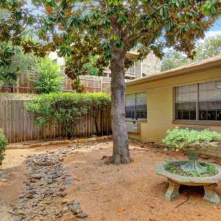 A cozy backyard with a tree providing shade, surrounded by a wooden fence.