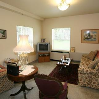 A cozy living room featuring a floral sofa, a vintage lamp, and a television.