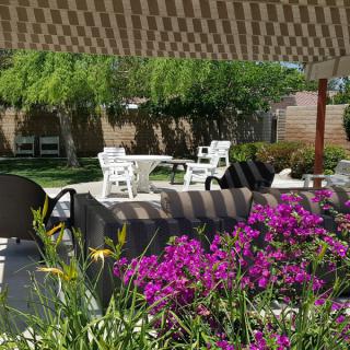 A serene garden setting with outdoor furniture under a shade canopy, surrounded by vibrant flowers and greenery.