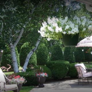 A tranquil garden patio with lush greenery and comfortable seating.