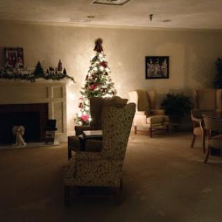 A cozy living room adorned with a beautifully lit Christmas tree, creating a warm holiday ambiance.