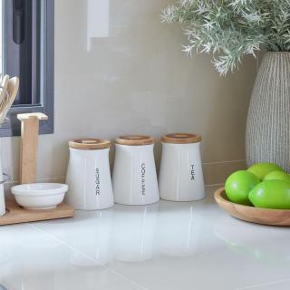A tidy kitchen counter adorned with ceramic canisters, a bowl of green apples, and decorative elements.