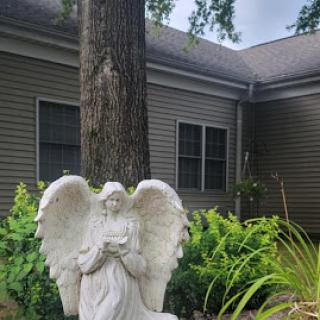 A serene angel statue surrounded by greenery in a tranquil garden setting.