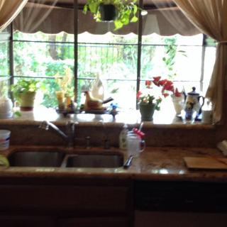 A cozy kitchen sink area with plants by the window, letting in natural light.