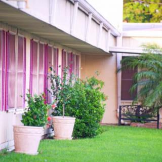 A modern building exterior with pink window shutters and lush greenery.