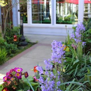 A beautiful garden pathway lined with vibrant flowers and lush greenery.