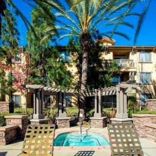Sunny courtyard with a fountain and lounge chairs surrounded by lush greenery.