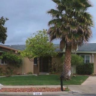 A suburban house with a palm tree and well-maintained lawn on an overcast day.