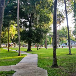 A serene park scene with a winding pathway surrounded by lush trees and greenery.
