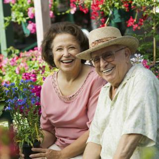 An elderly couple enjoying gardening amidst colorful flowers.