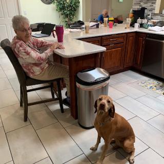 An elderly person enjoys a moment in the kitchen while a loyal dog sits nearby.