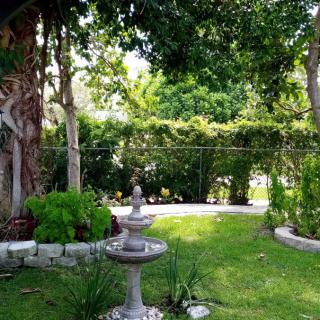 A serene garden with a stone fountain surrounded by lush greenery and trees.