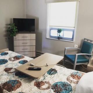 Cozy bedroom setup featuring a comfortable bed, modern furniture, and a touch of greenery.
