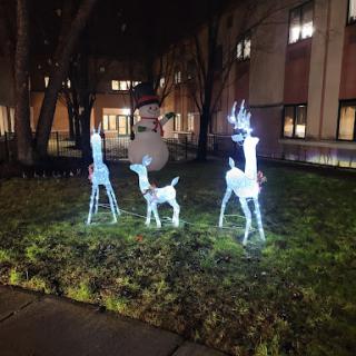 Festive holiday decorations featuring illuminated reindeer in a garden setting.