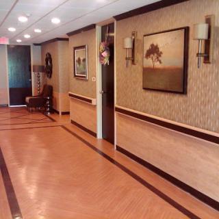 A well-decorated hallway featuring artwork and ambient lighting.
