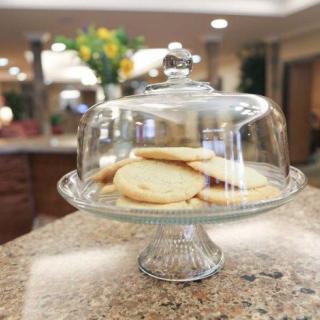 A collection of cookies displayed under a glass dome on a kitchen counter.
