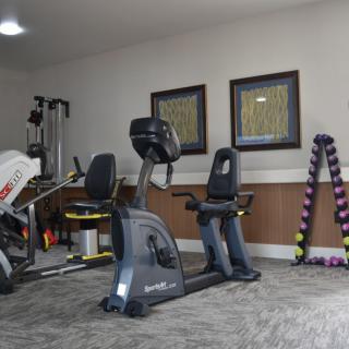 A well-equipped home gym featuring exercise machines and weights.