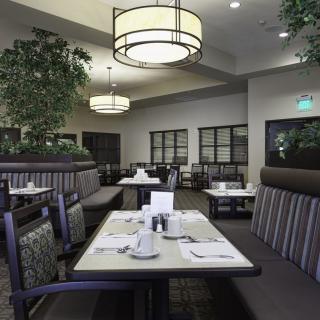 A modern restaurant interior with neatly arranged tables and chairs, warm lighting, and decorative plants.