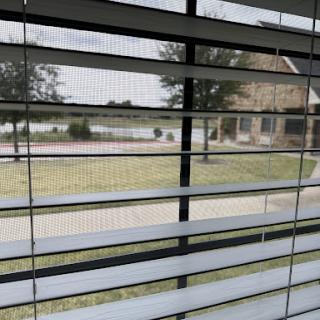 A view through horizontal blinds showing a house and yard outside.