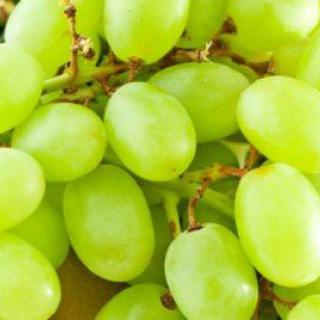 A close-up view of fresh green grapes.