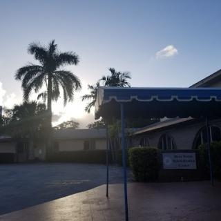 A serene early morning scene featuring palm trees and a blue canopy, capturing the tranquility of a new day.