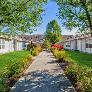 A sunny pathway lined with shrubs and trees, leading through a garden area between buildings.