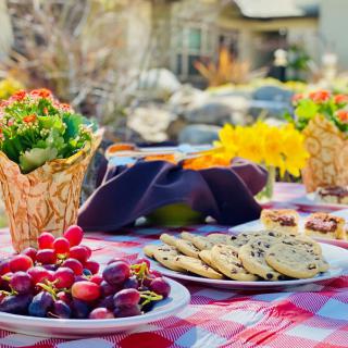 A colorful picnic setup with a table covered in a red and white checkered cloth, featuring plates of grapes, cookies, and salads, surrounded by vibrant flowers in the background.
