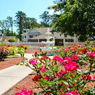 A vibrant garden with blooming roses and a pathway leading to a house in the background.