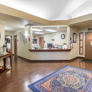 A welcoming reception area with a front desk and colorful carpet.