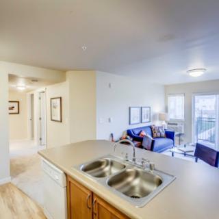 A spacious and inviting open-concept apartment featuring a kitchen that flows into the living area, enhanced by natural light.