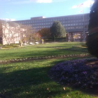 A serene outdoor scene with a large building in the background and a well-maintained lawn with trees.