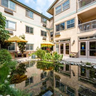 A peaceful courtyard with a reflective pond surrounded by a residential building.