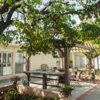 A serene patio with outdoor seating under the shade of trees and a pergola.