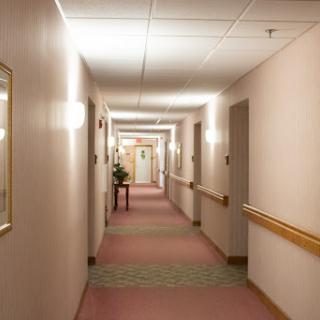 A well-lit corridor featuring a soothing color palette and carpet.