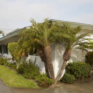 A suburban house with palm trees and neatly maintained landscaping.