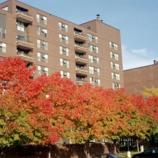 A multi-story apartment building surrounded by vibrant red autumn foliage.