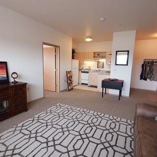 An open-plan living area with a kitchen, featuring modern furniture and a patterned rug.