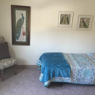A cozy bedroom with a single bed covered in a blue blanket, adorned by artwork including a peacock painting and framed pictures on the wall.